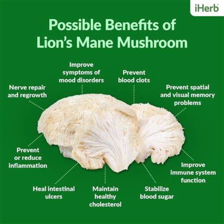 What is lion’s mane mushroom and what are its benefits?