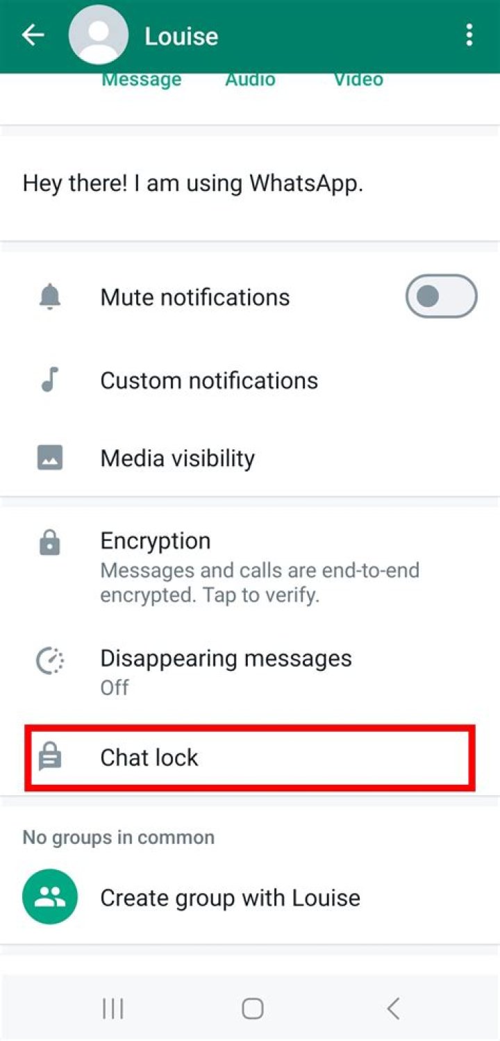 WhatsApp users joke Chat Lock feature 'tailored for cheating'
