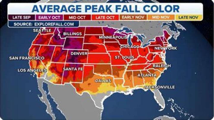 Where the most brilliant colors are right now