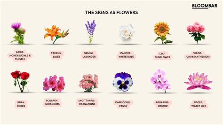 Which flower empowers each zodiac sign?