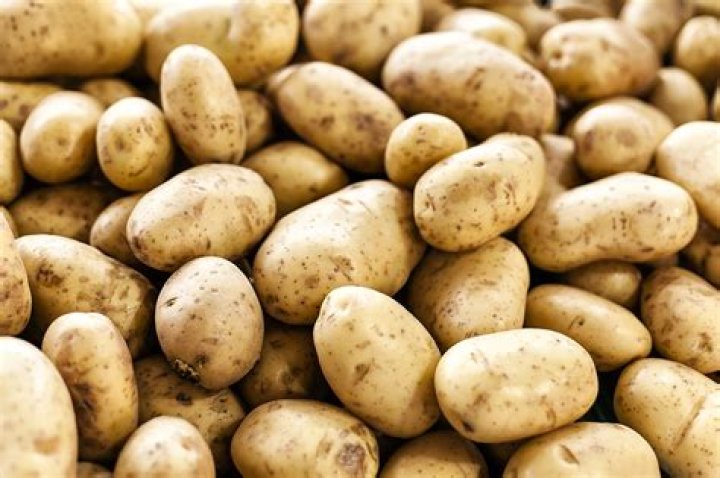 Why eating potatoes could help you ‘lose weight with little effort’: study