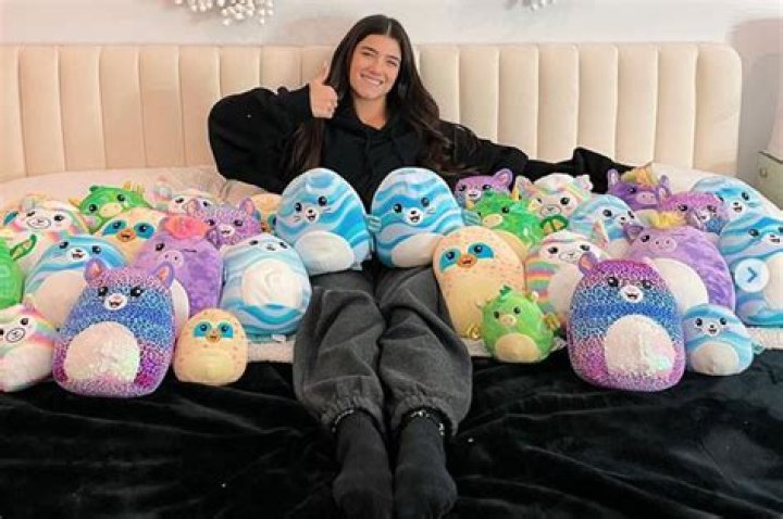 Why the plushies are so popular