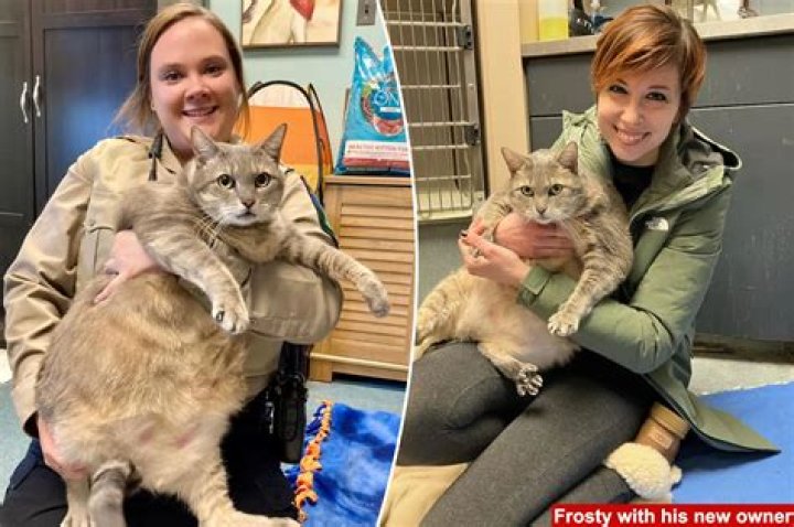 Woman credits pet cat with detecting breast cancer, saving life