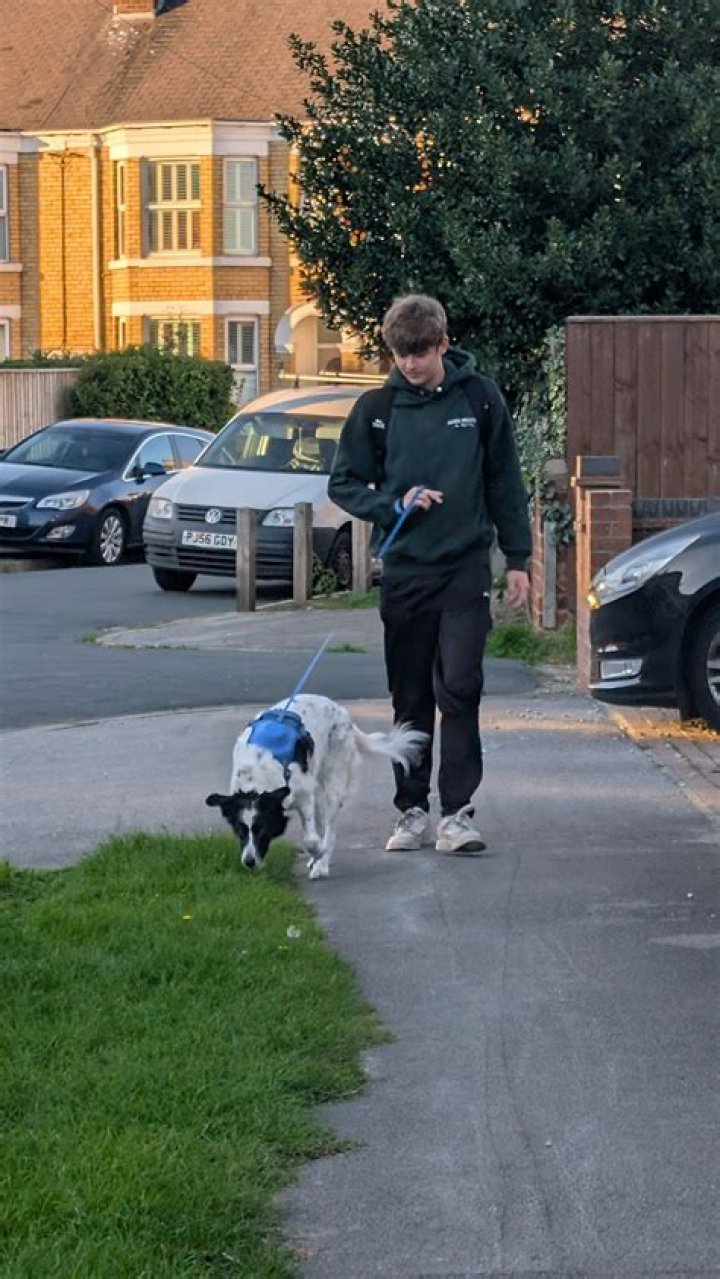 Woman leaving her dog $1M is worried pooch is in danger