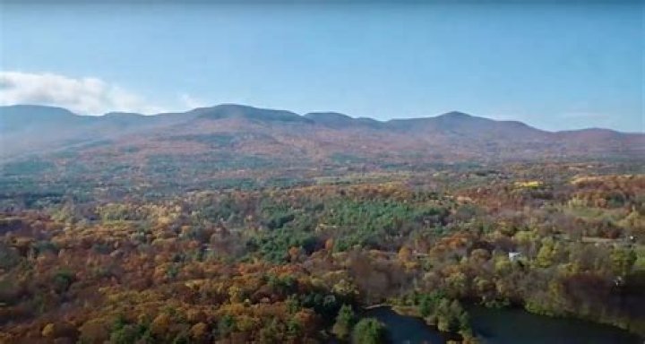 World's oldest forest discovered in upstate New York